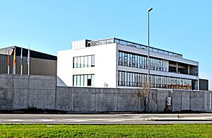 Archivo:Madrid, Vicálvaro (2023) 10
