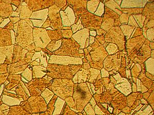 Archivo:Microstructure of rolled and annealed brass; magnification 400X