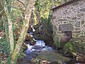 Muiños de Riamonte (3064001622)