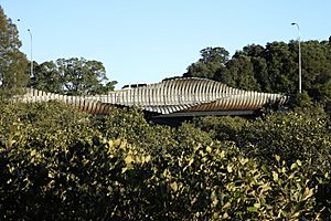 Archivo:Onepoto Bridge and mangroves