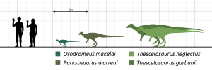 Archivo:Parksosaurids-Scale-Comparison-SVG-001