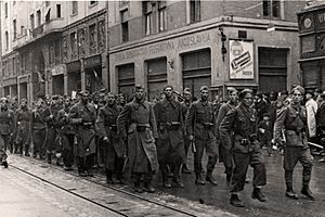 Archivo:Partizani u Sarajevu 1945