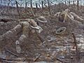Paths of Glory Art.IWMART518