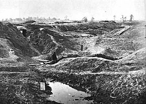 Archivo:Petersburg crater aftermath 1865