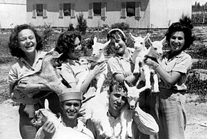 Archivo:PikiWiki Israel 2941 Kibutz Gan-Shmuel sk27- 123 -גן-שמואלנערות ונערים עם גדיים 1953