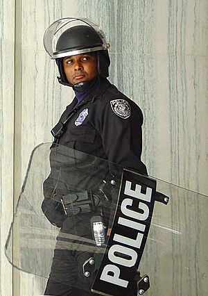 Archivo:Police officer in riot gear