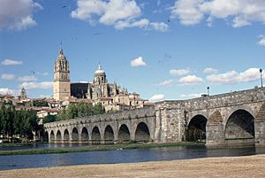 Archivo:Pont romain et cathédrales vieille et nouvelle de Salamanque (1967-08-07)
