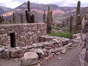 Archivo:Pucará de Tilcara 01