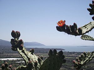 Archivo:Santa cruz de la soledad, Chapala, Jalisco, Lago de Chapala, Cerro, montaña