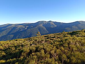 Archivo:Sierra de Guadarrama. Al fondo la "Cuerda Larga". Comunidad de Madrid. España, Spain