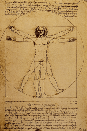 Archivo:Studio del Corpo Umano - Leonardo da Vinci