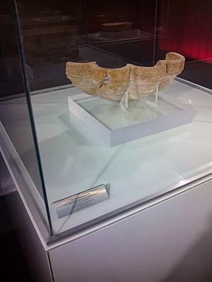 Archivo:Taza lobulada de fuente doméstica de mármol, Museo Anticuarium Sevilla, Sevilla, España, 2014