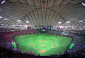 Archivo:Tokyo Dome 2007-1