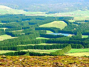 Archivo:Vista da Serra de Santa Bárbara, ilha Terceira, Açores, Portugal