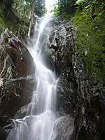 Archivo:Waterfall in Venezuela