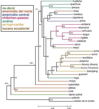 Archivo:Árbol genético autosómico de algunas etnias amerindias