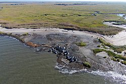 Aerial view of an Oyster Reef (22819976251).jpg