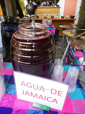 Archivo:Agua de jamaica