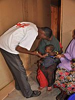 Archivo:An MSF health worker examines a malnourished child
