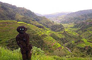 Archivo:Banaue Rice Terraces and its statue friend