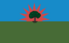 Bandera de Barrancominas - Guainía.svg
