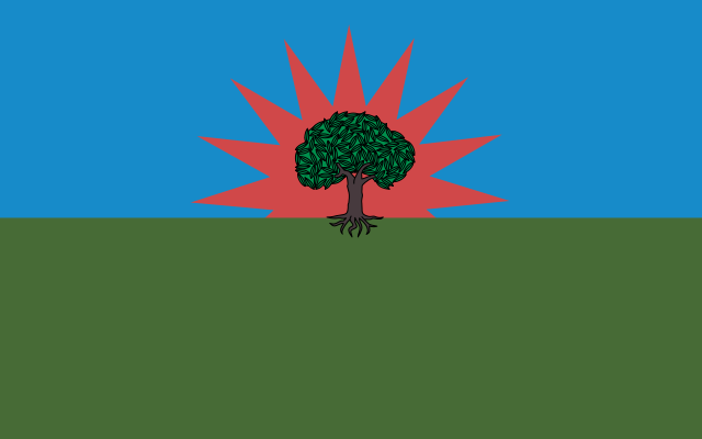 Bandera de Barrancominas - Guainía