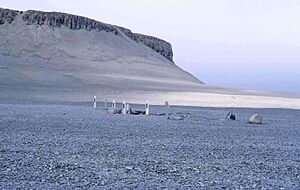 Archivo:Beechey Island Graves 1 1997-08-02