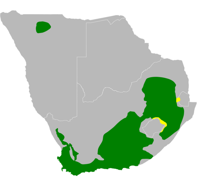 Blue crane IUCN distribution range
