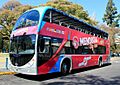 Bus-turistico