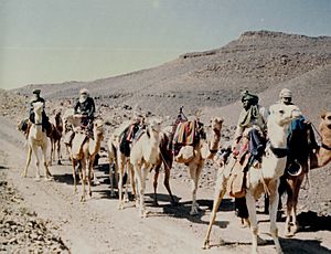 Archivo:Caravane de Méharis dans le Hoggar