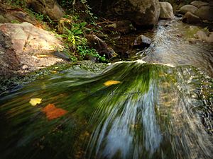 Archivo:Cascada de Agua 2