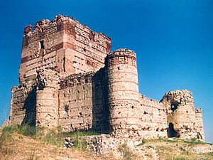Archivo:Castillo de Villanueva de la Cañada
