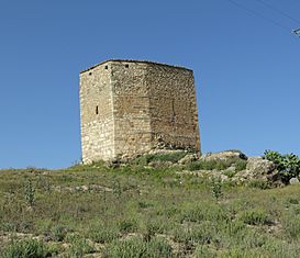 Castillo del Jarafe03.jpg