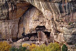 Archivo:Cliff Palace, Mesa Verde Park, Colorado, US (29)