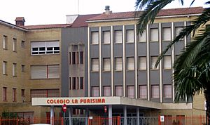 Archivo:Colegiolapurisimaalzira(2)