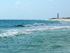 Archivo:Cozumel Punta Sur-27527