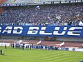 Dinamo BBB 2008