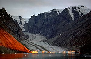 Archivo:Franz Josef Fjord, glacier