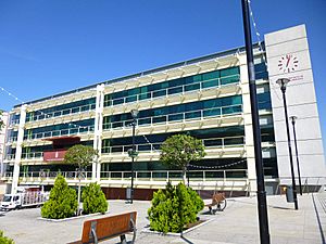 Archivo:Fuenlabrada - Plaza de la Constitución y Ayuntamiento 5