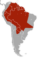 Giant Armadillo area