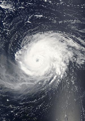 Hurricane Fabian 2003-09-01 Aqua.jpg