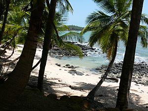 Archivo:Joseph island beach 1