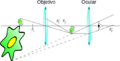 Microscope diag-es
