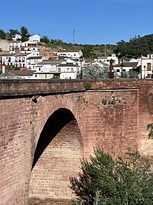 Archivo:Montoro - flickr(sergei.gussev) - 006