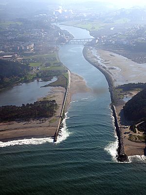 Archivo:PA120196 vista aérea de la desembocadura de la ria de Navia