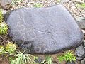 Petroglifos Famatina