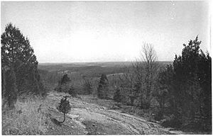 Archivo:Piedmont Plateau Plate XXXVII WBClark 1898