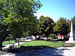 Plaza de Capitán Pastene - panoramio (1).jpg