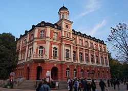 Pleven Theatre TodorBozhinov.jpg