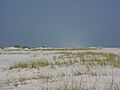 Santarosaislanddunes